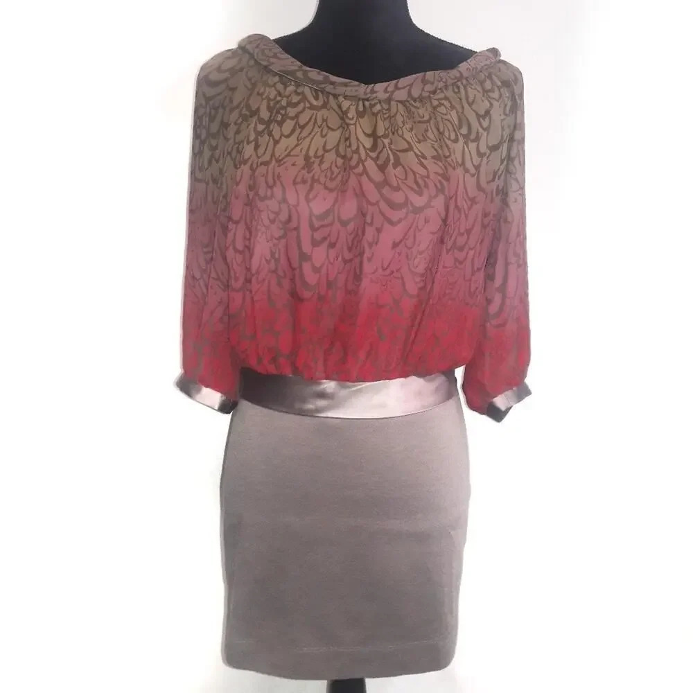 BCBGeneration Sheer Brown Floral Fall Dress Career v6x